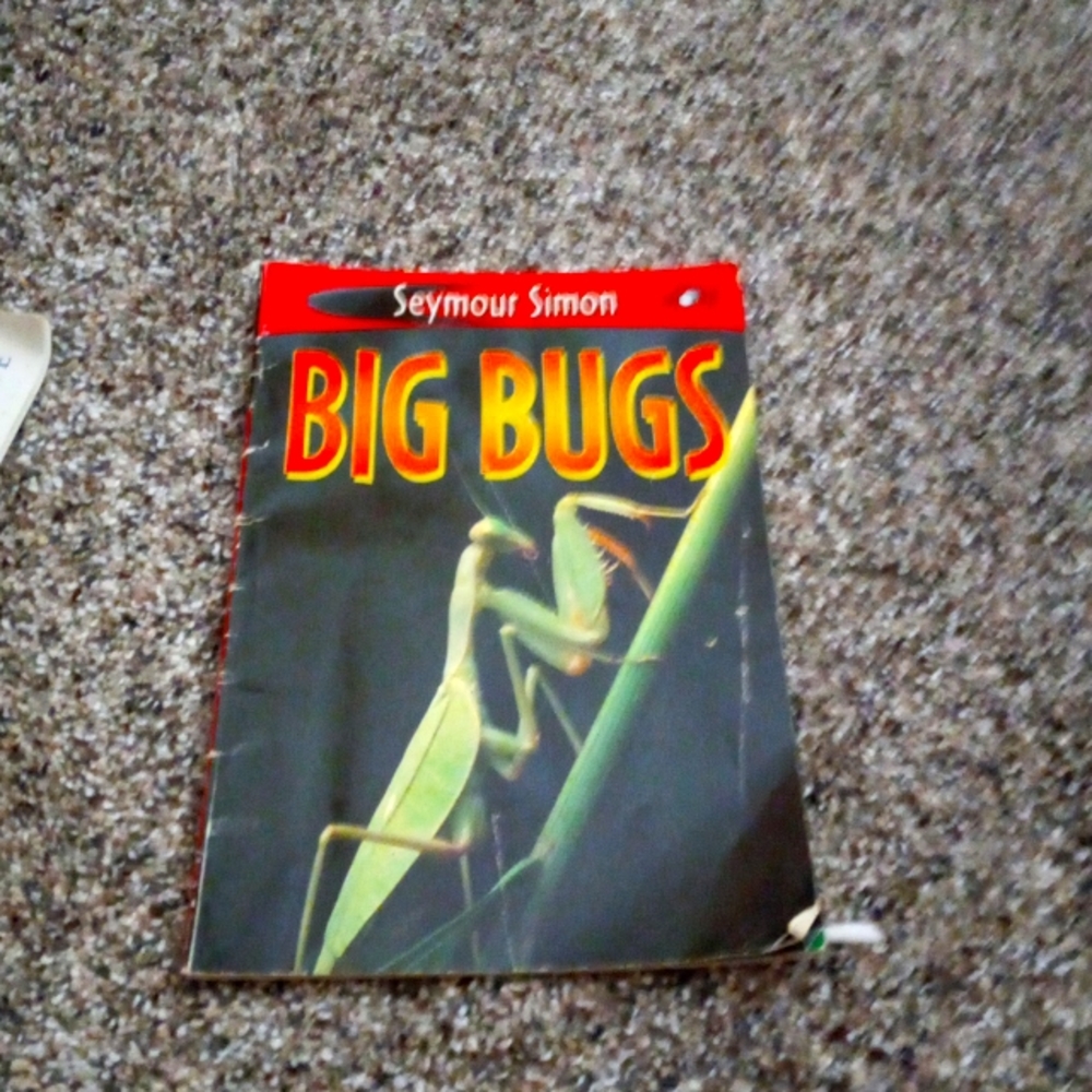 5 animal fact books